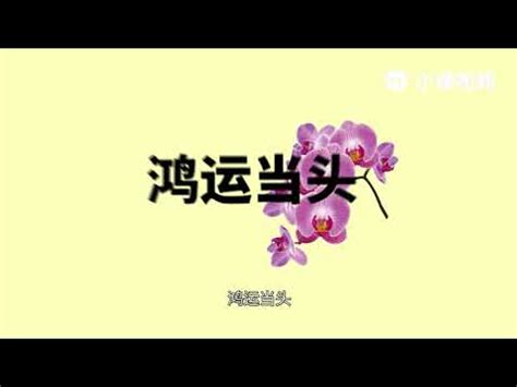 黃色蘭花風水|【風水 蘭花】花的擺放宜忌 